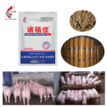 Fitoterapia chinesa promove medicamentos veterinários de qualidade do leite para porcas